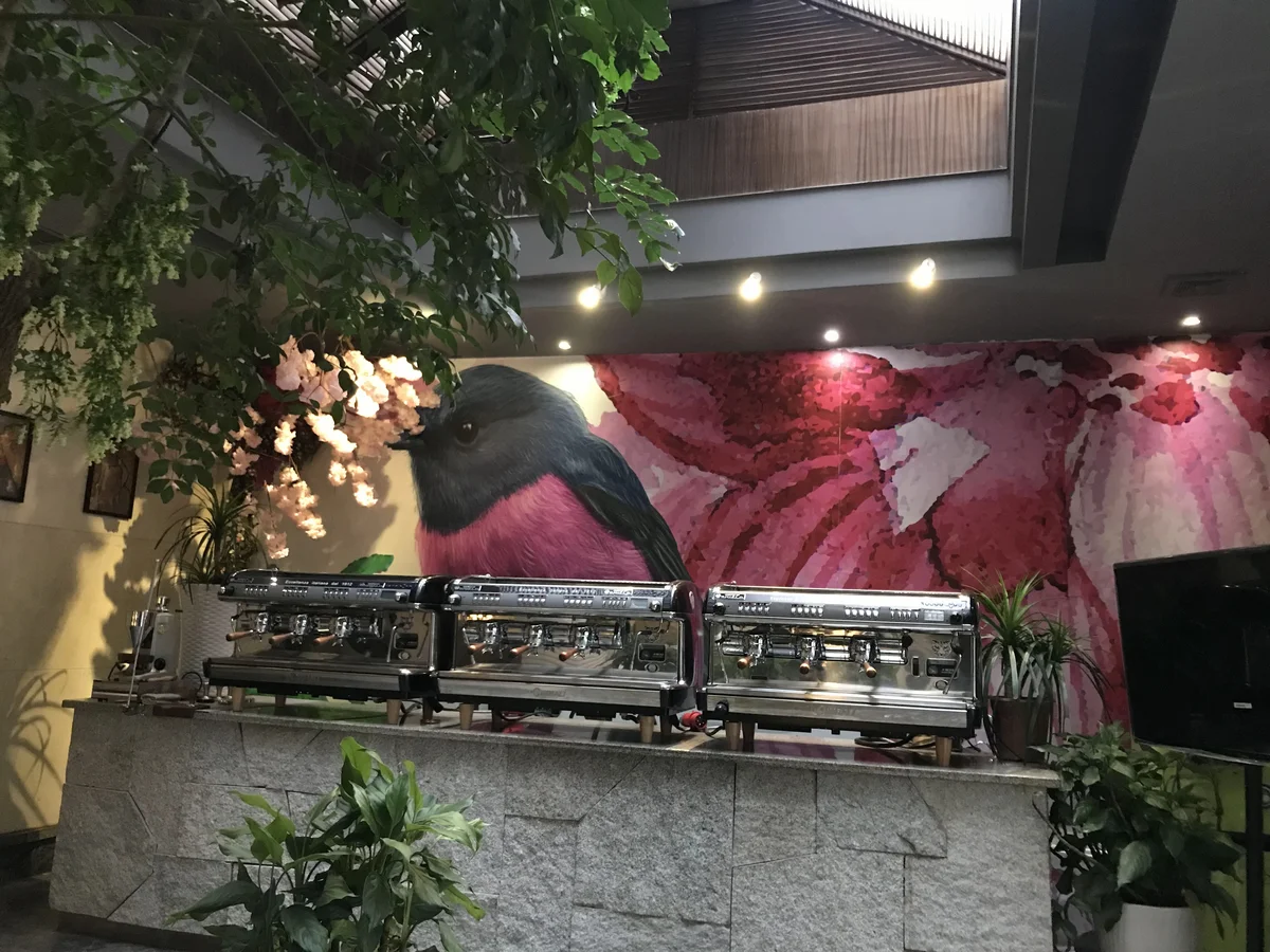 庭院4