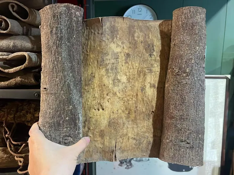 紫油玉桂百年桂皮