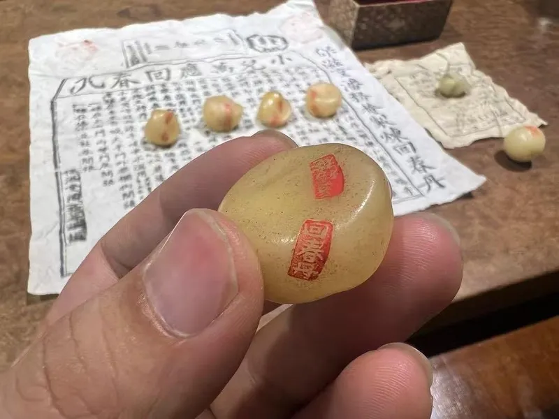 广芝馆回春丹